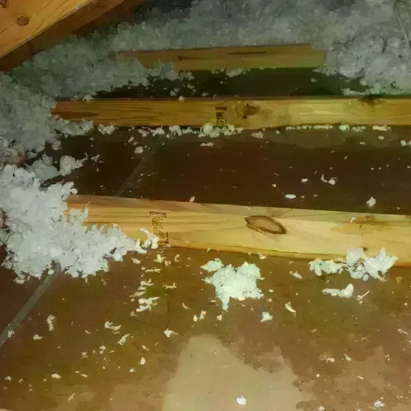 Attic Water Damage in Toole County, MT